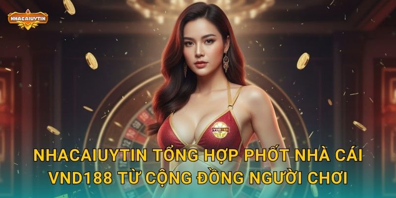 Nhacaiuytin tổng hợp phốt nhà cái VND188 từ cộng đồng người chơi