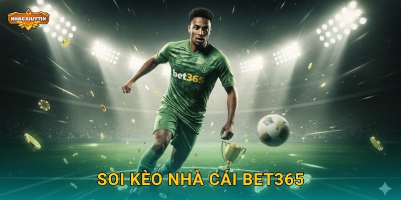 Soi kèo nhà cái Bet365 theo Nhacaiuytin – Tỷ lệ chuẩn quốc tế