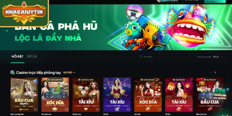 Kiểm tra phản hồi hệ thống